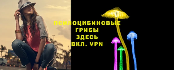 дурь Абинск
