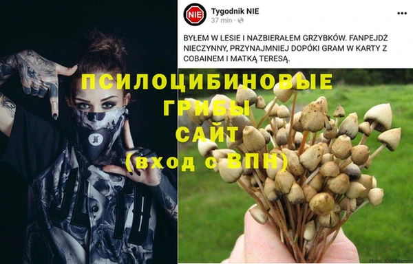 дурь Абинск