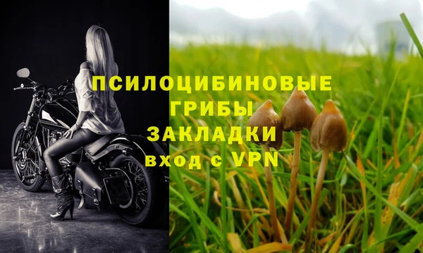 мяу мяу мука Абаза