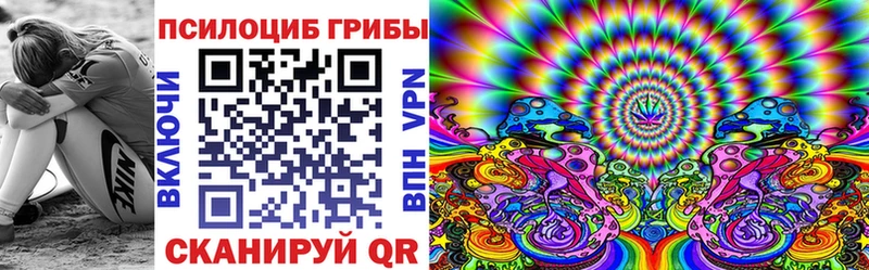 Псилоцибиновые грибы Psilocybe  продажа наркотиков  Александровск 